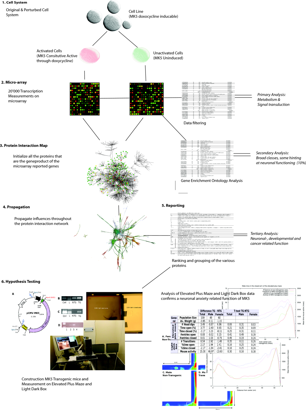 \includegraphics[height=0.8\textheight]{/home/werner/ProteomeEffect/Paper/Images/BigPicture}