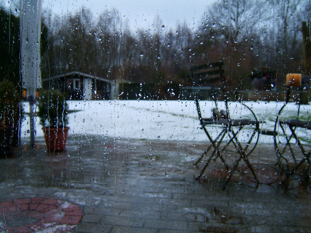 Image Regen.jpg