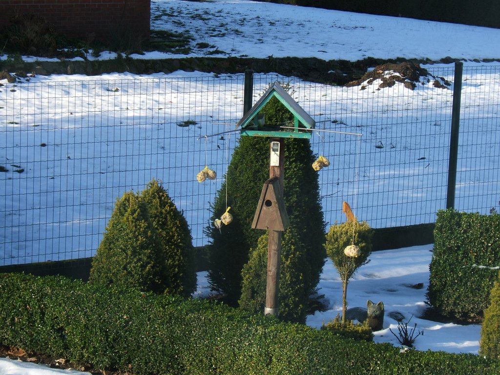 Image Vogeltjes1.jpg