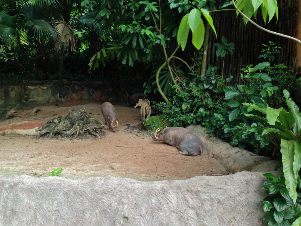 Image 482.jpg